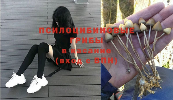 а пвп мука Магас