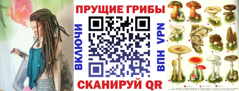 Псилоцибиновые грибы прущие грибы  Новый Оскол 